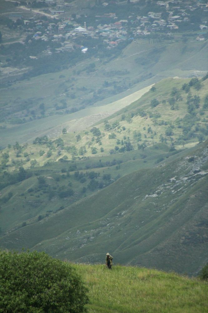 Photograph by Юлия Журавлёва