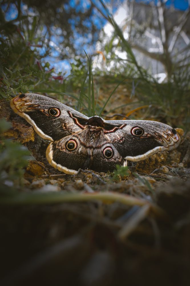 Photograph by Ahmad Alhaj Ebraheem