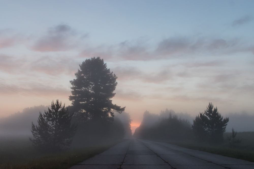 Photograph by Мария Тёмкина