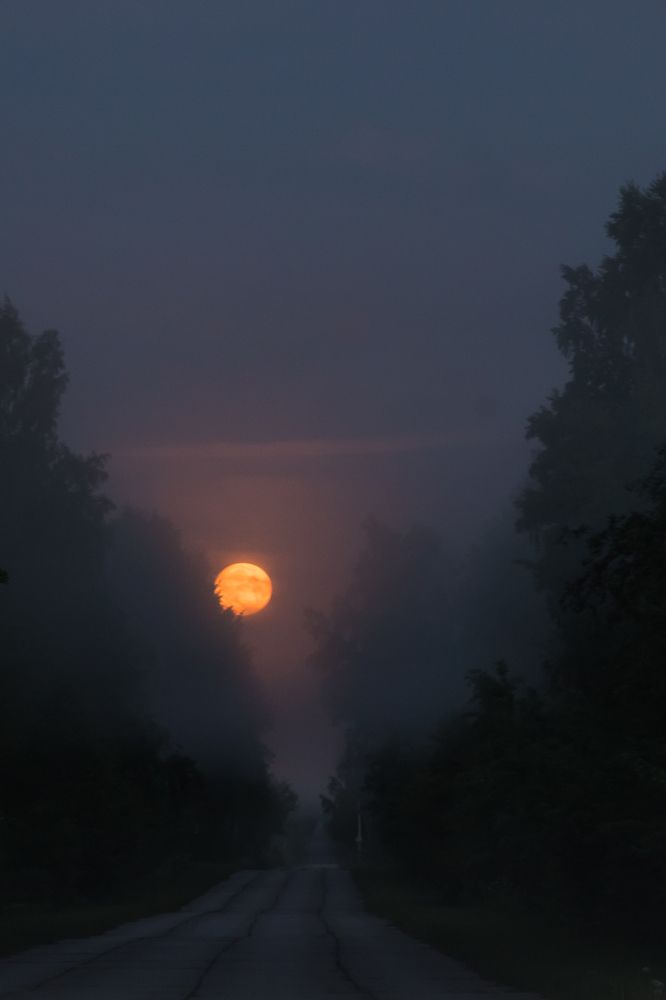 Photograph by Мария Тёмкина