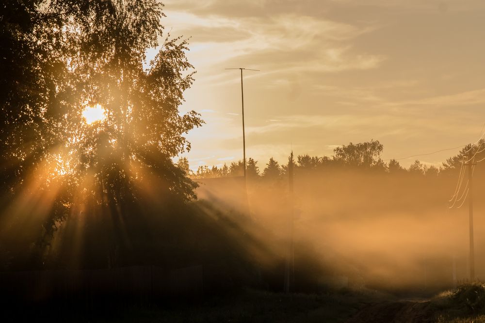 Photograph by Мария Тёмкина