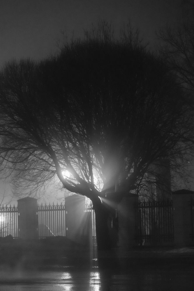 Photograph by Мария Тёмкина