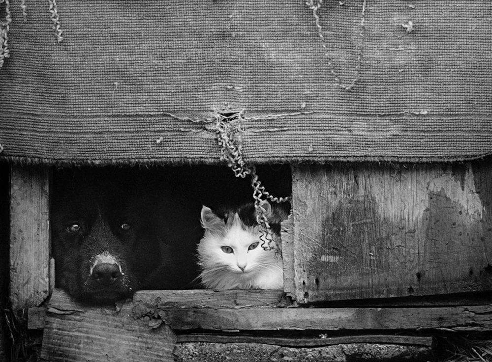 Photograph by Денисов Василий