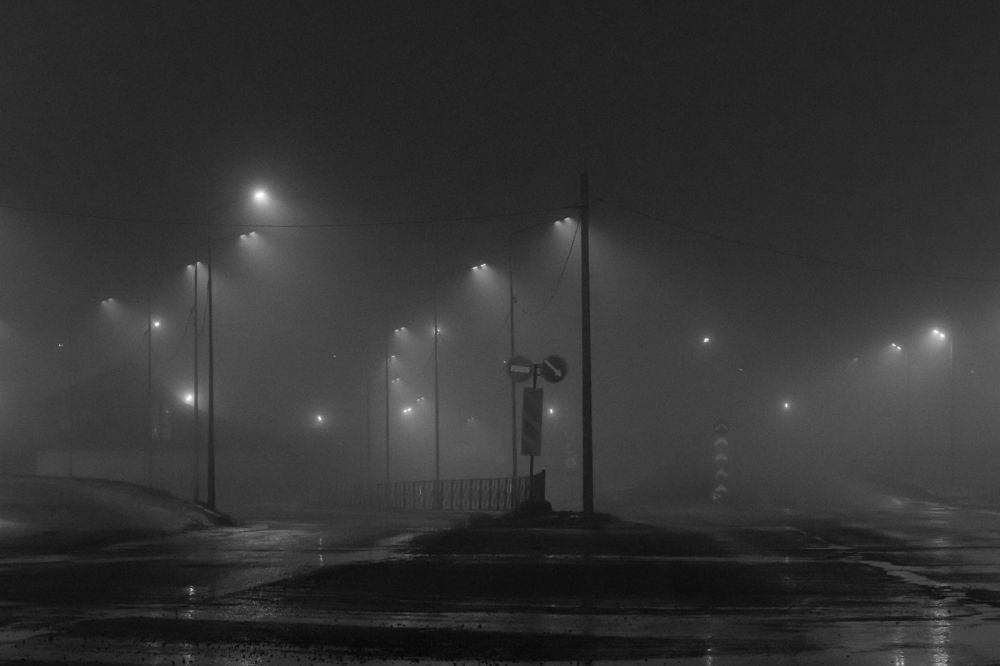 Photograph by Мария Тёмкина