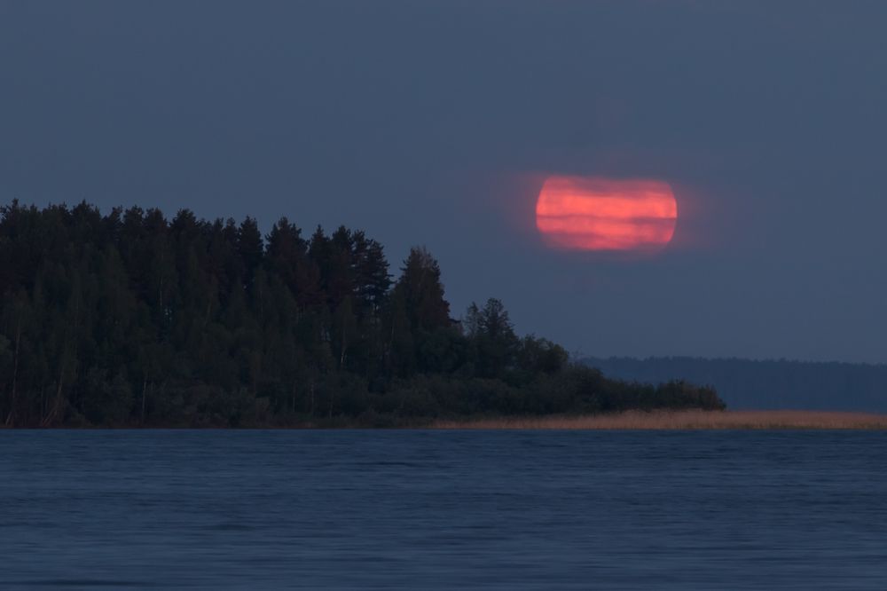 Photograph by Мария Тёмкина