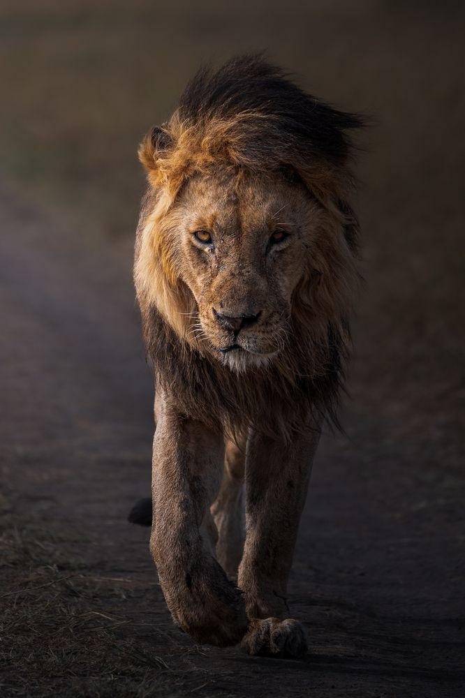 Photograph by Jayakumar MN