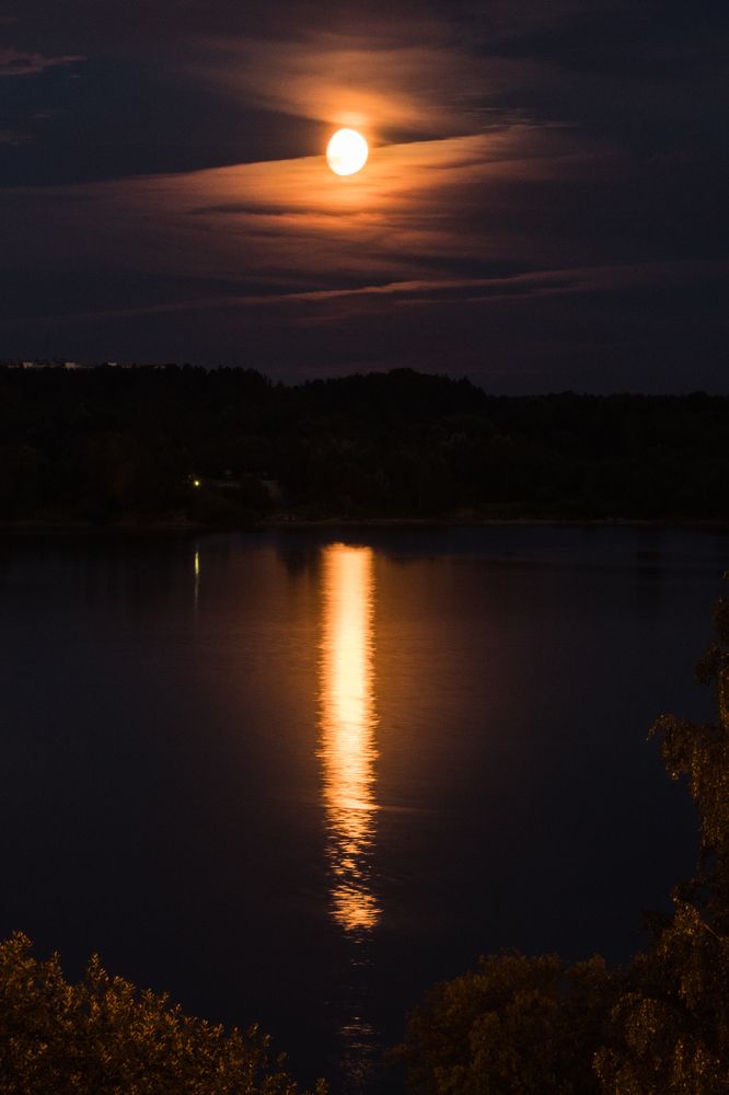 Photograph by Мария Тёмкина