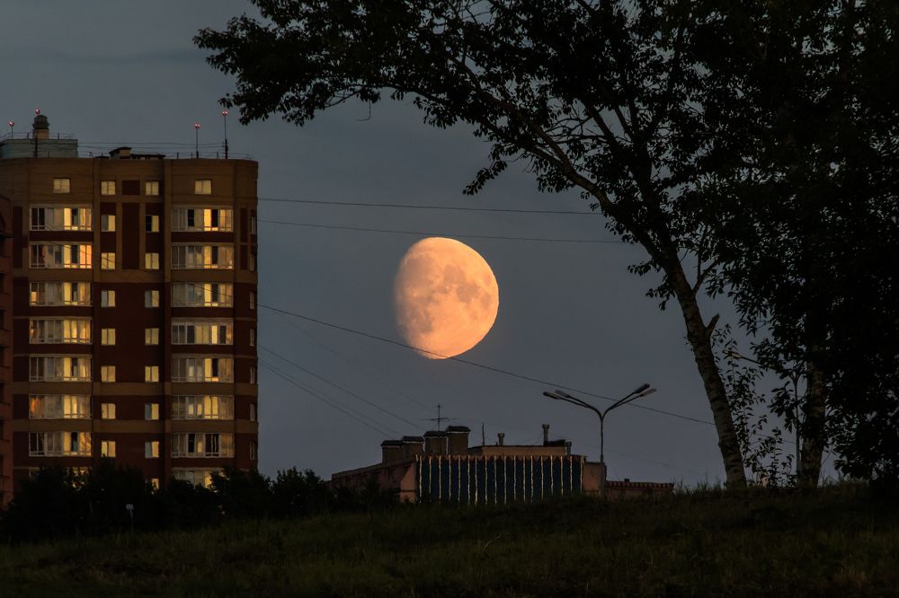 Photograph by Мария Тёмкина