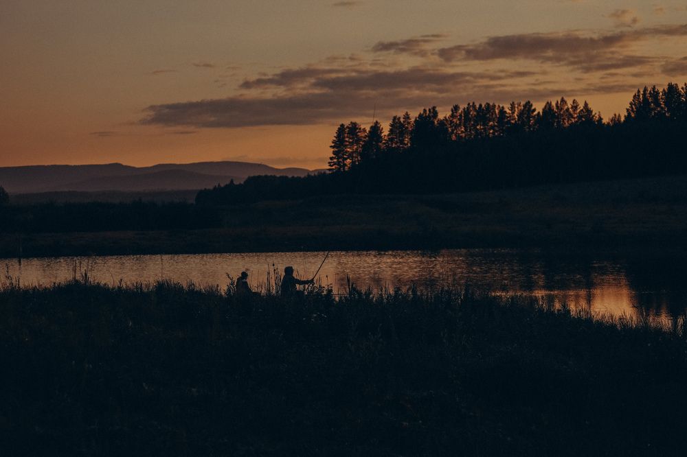 Photograph by Елена Высоких