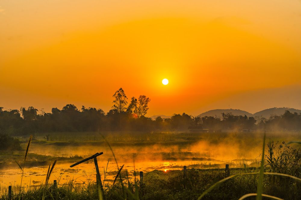 Photograph by Nguyễn Hữu Trung