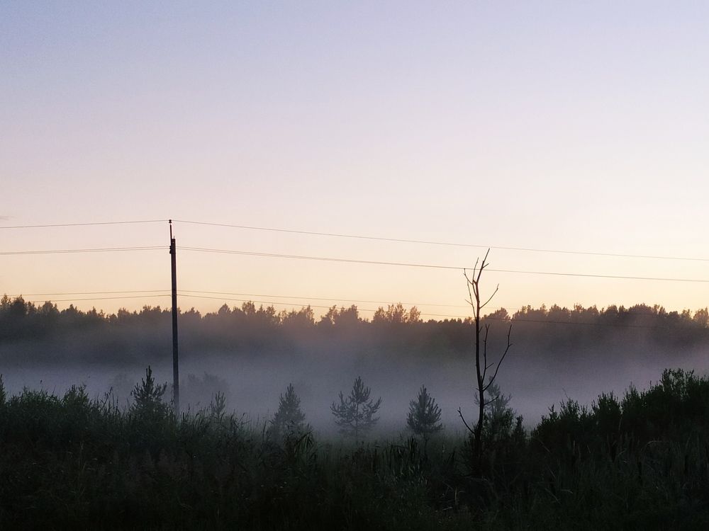 Photograph by Olga Kot