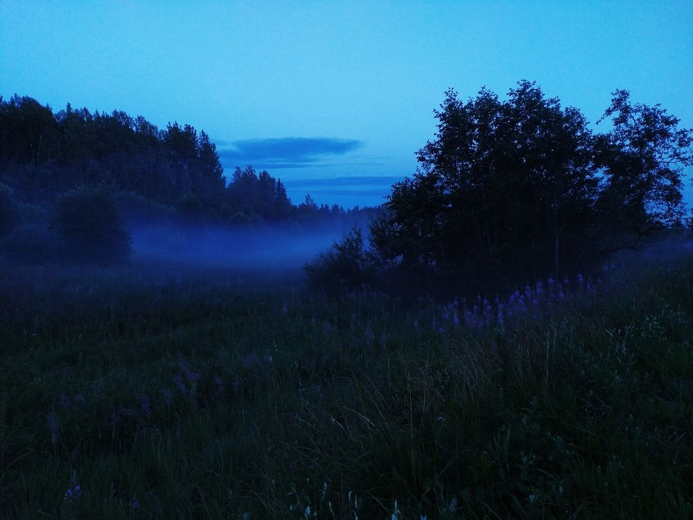 Photograph by Olga Kot