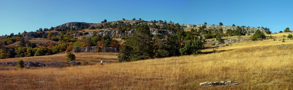 Photograph by Савоцкий Роман