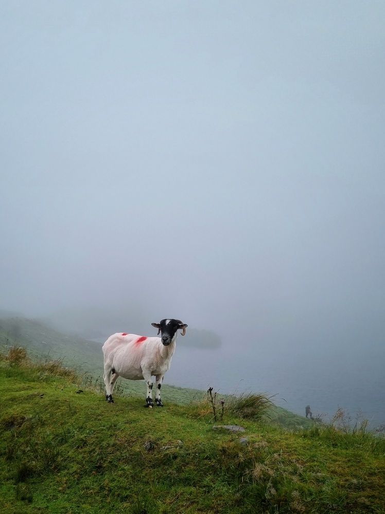 Photograph by Hanna Bourne