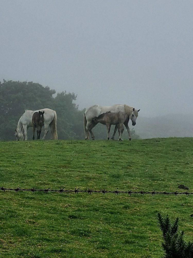 Photograph by Hanna Bourne