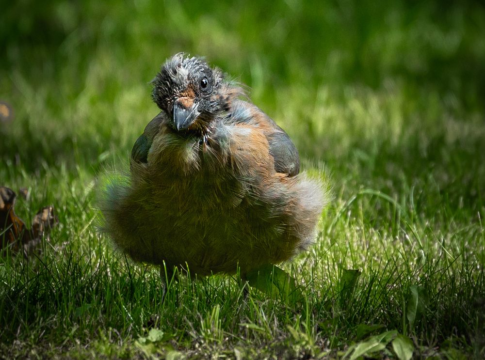 Photograph by Курлянцев Алексей