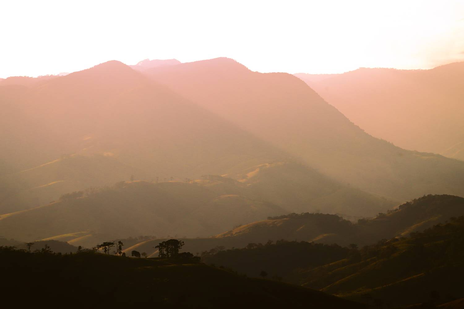 Photo #9334563