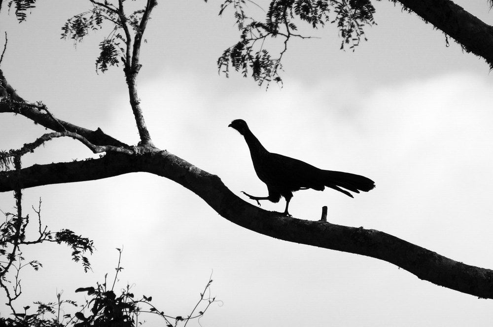 Photograph by Mario Rovina