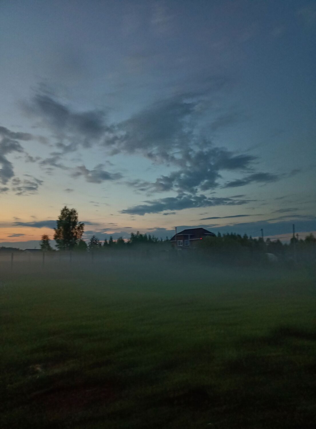 Photo #9334586