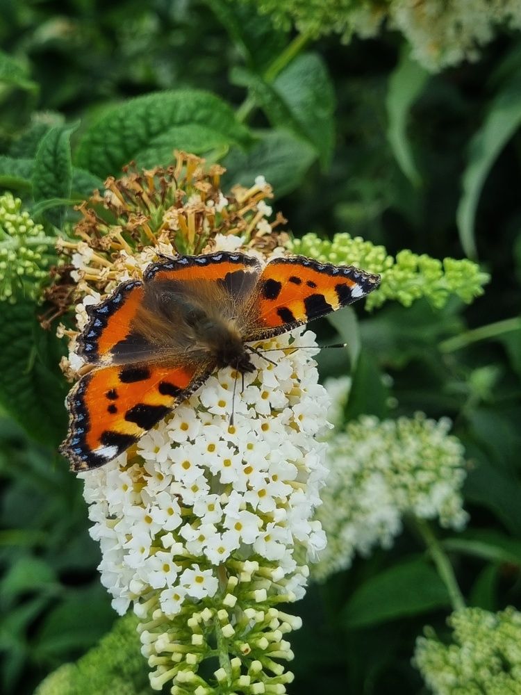 Photograph by Hanna Bourne