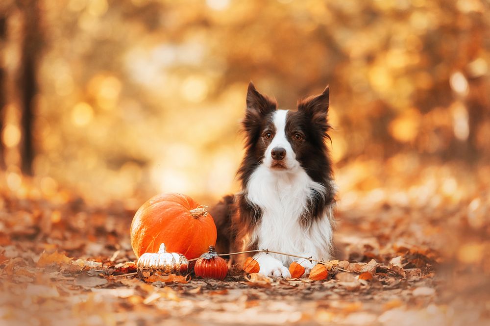 Photograph by Анна Тюрина