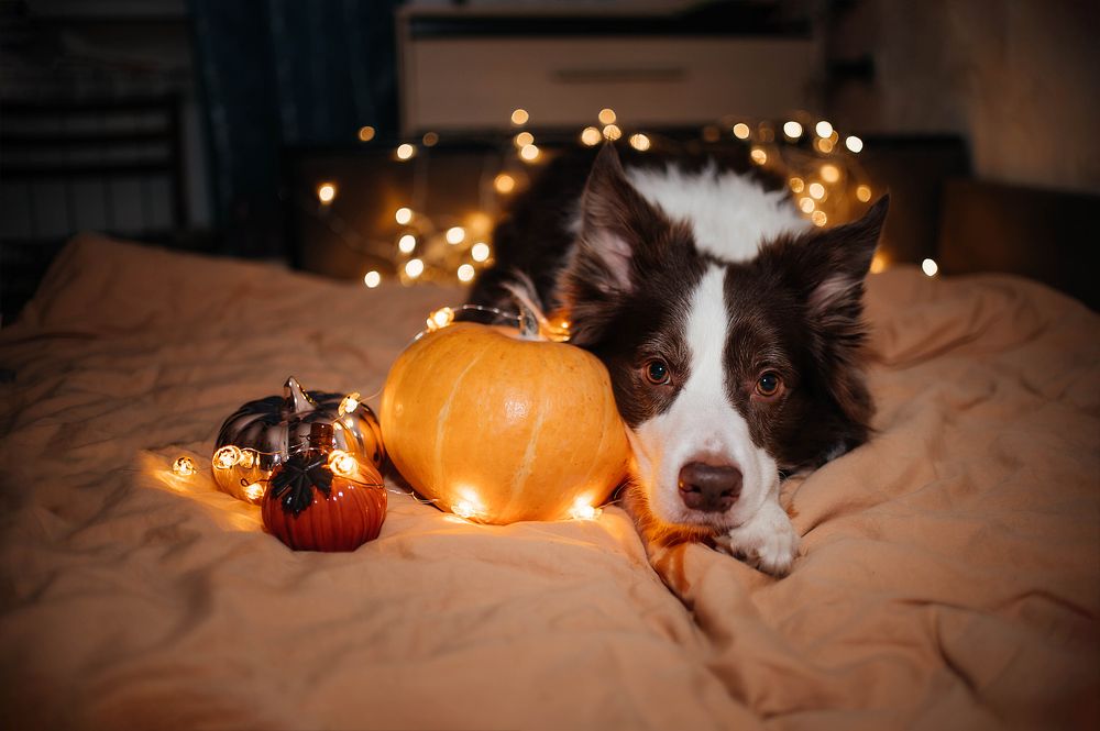 Photograph by Анна Тюрина