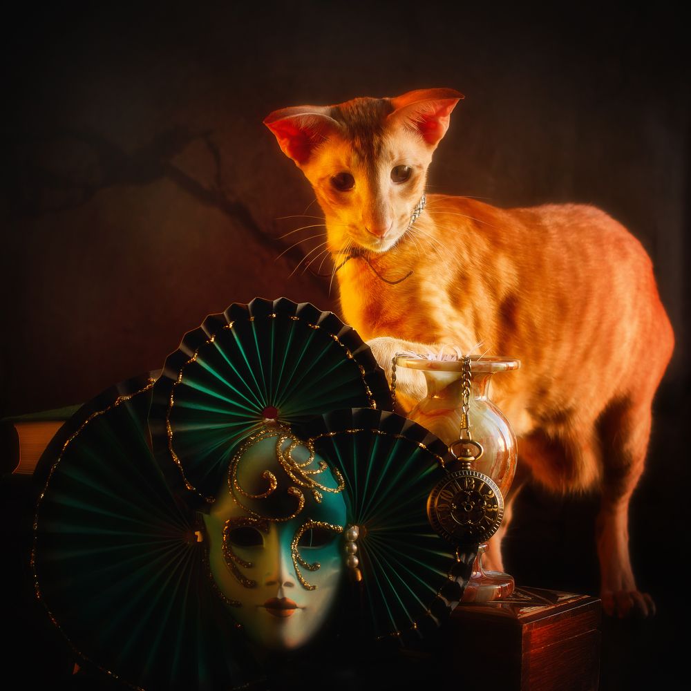 Photograph by 