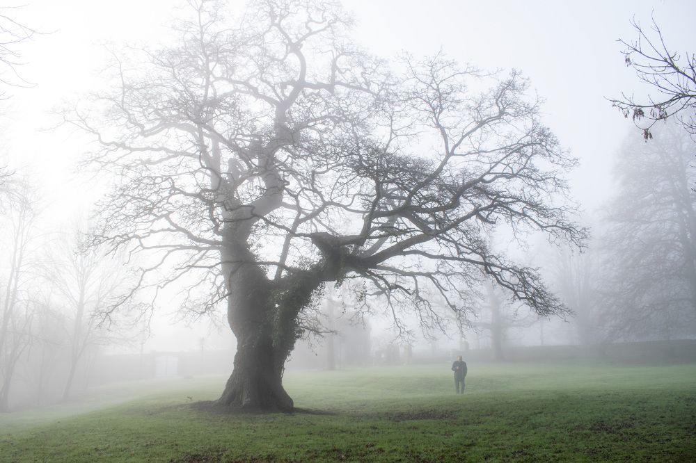 Photograph by Aljona Dyachenko