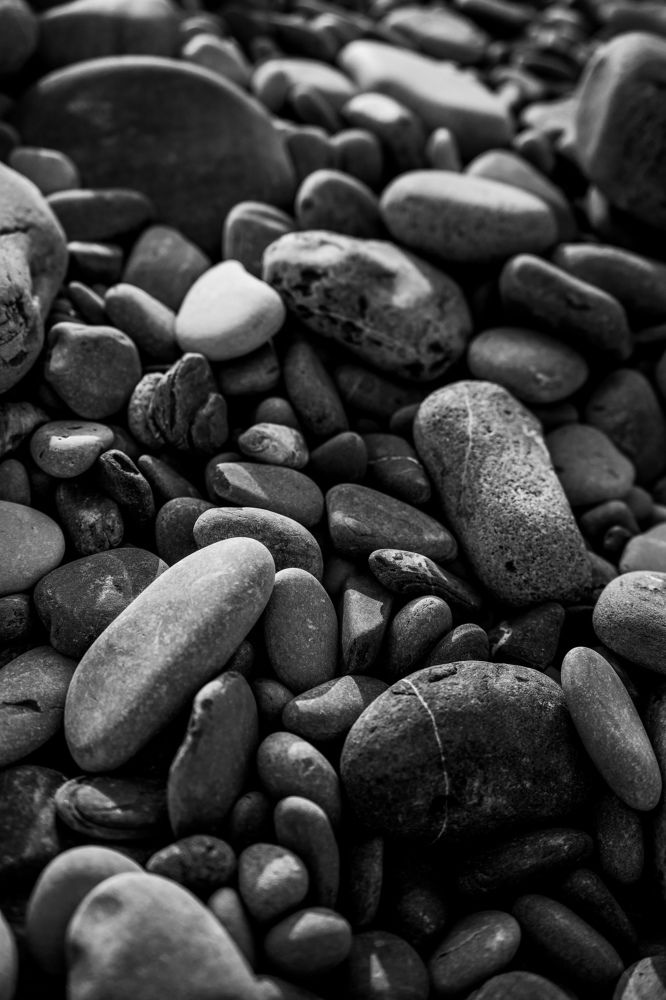 Photograph by Сергей Невский