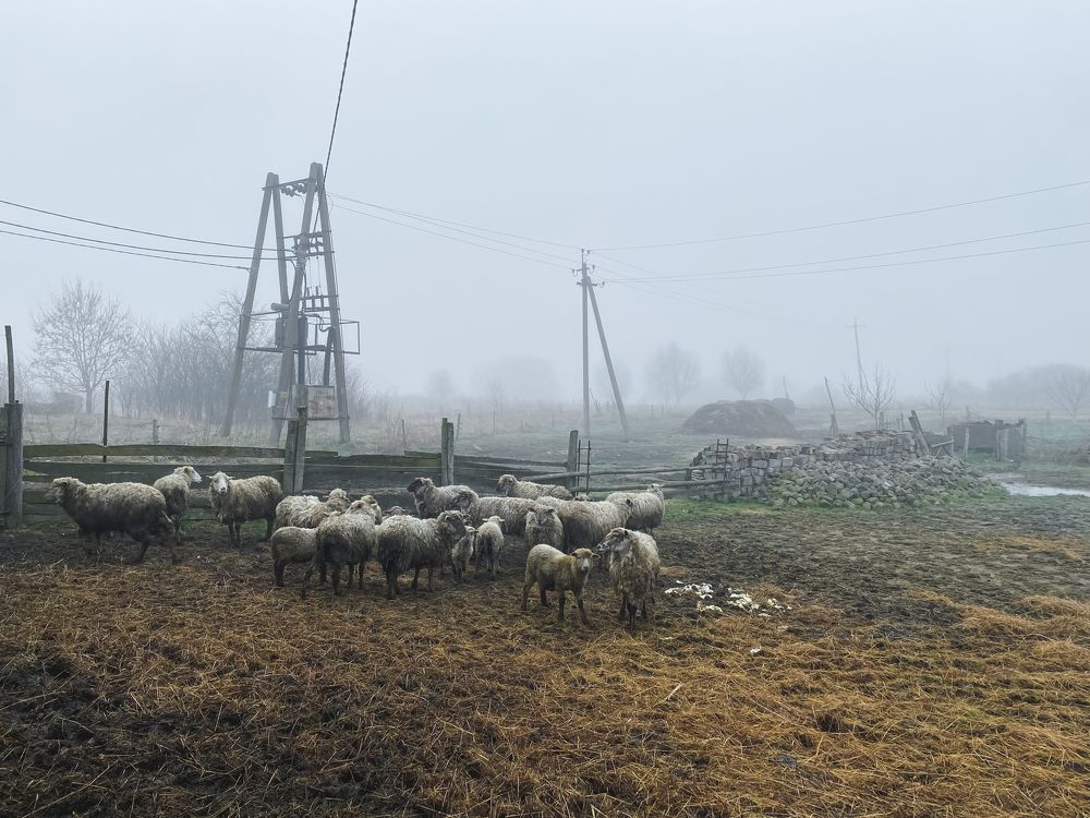 Photograph by Сусанна Аллаярова