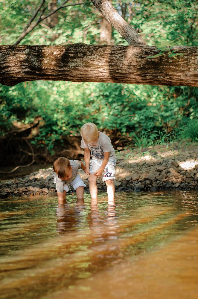 Фотография автора Светлана