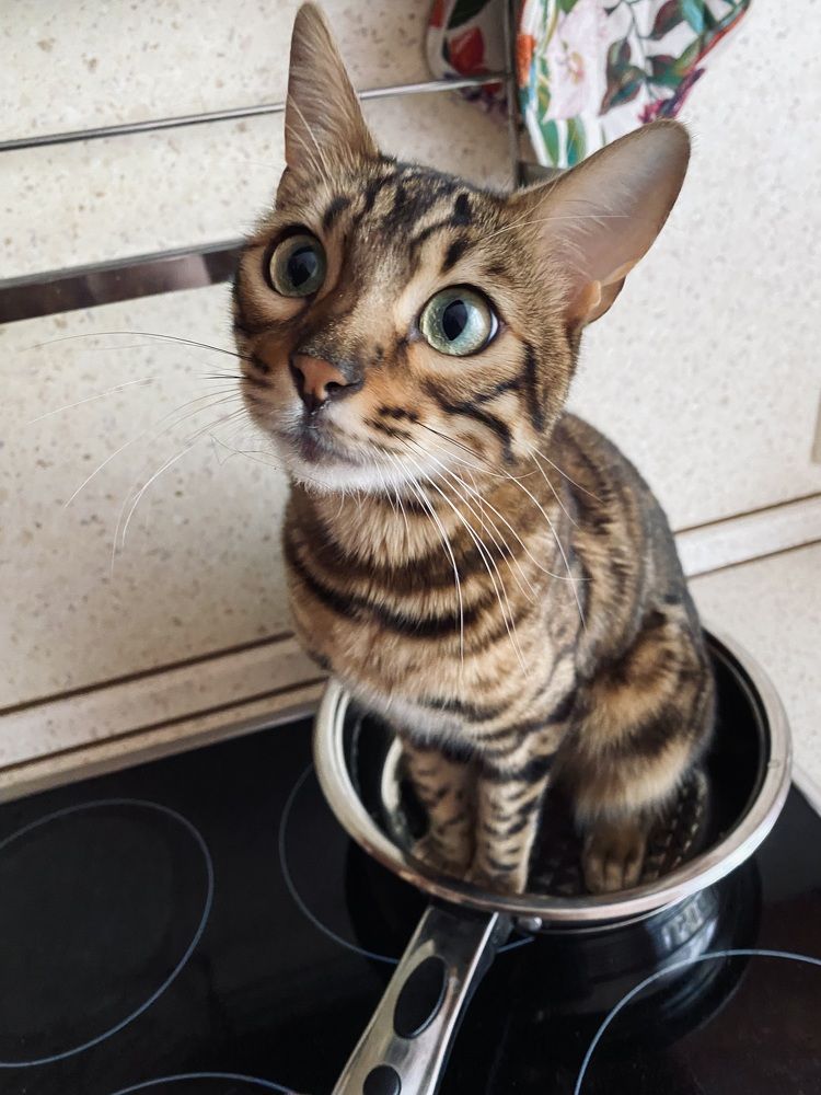 Photograph by Сусанна Аллаярова