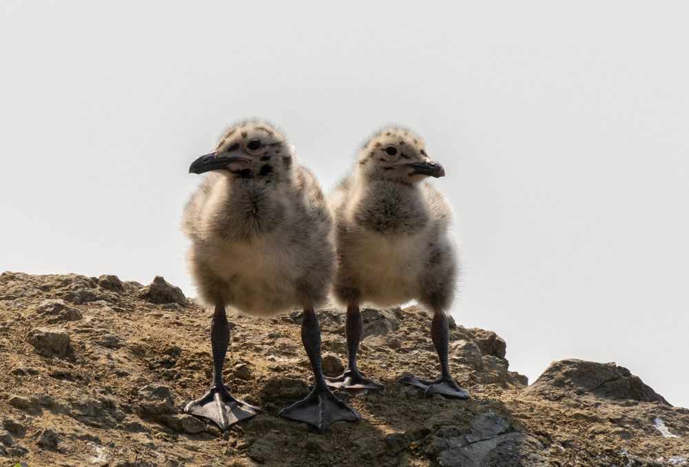 Photograph by Наталья Королева