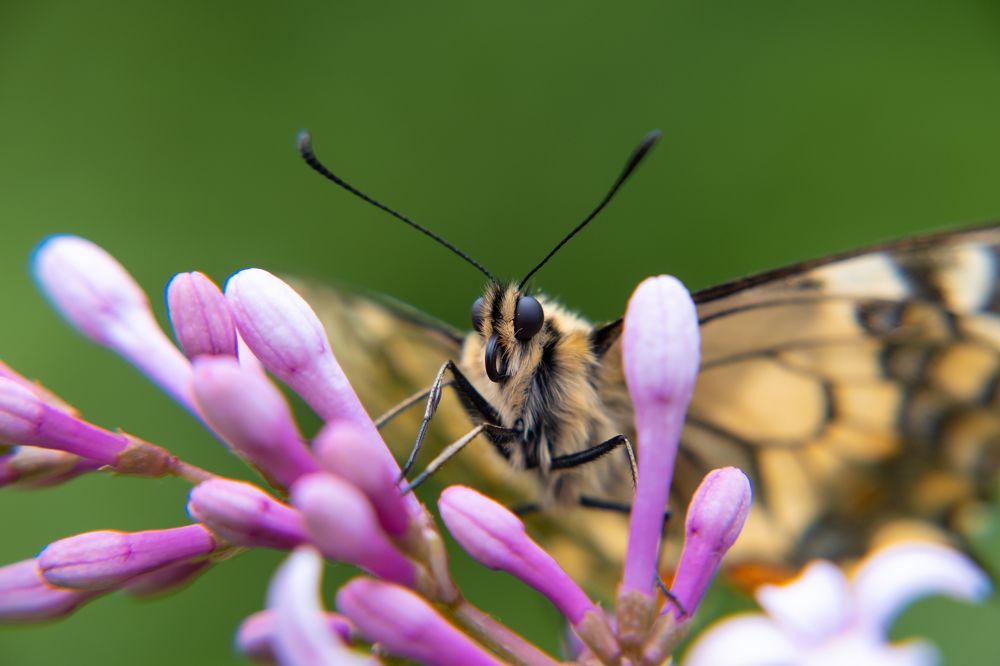 Photograph by Наталья Королева