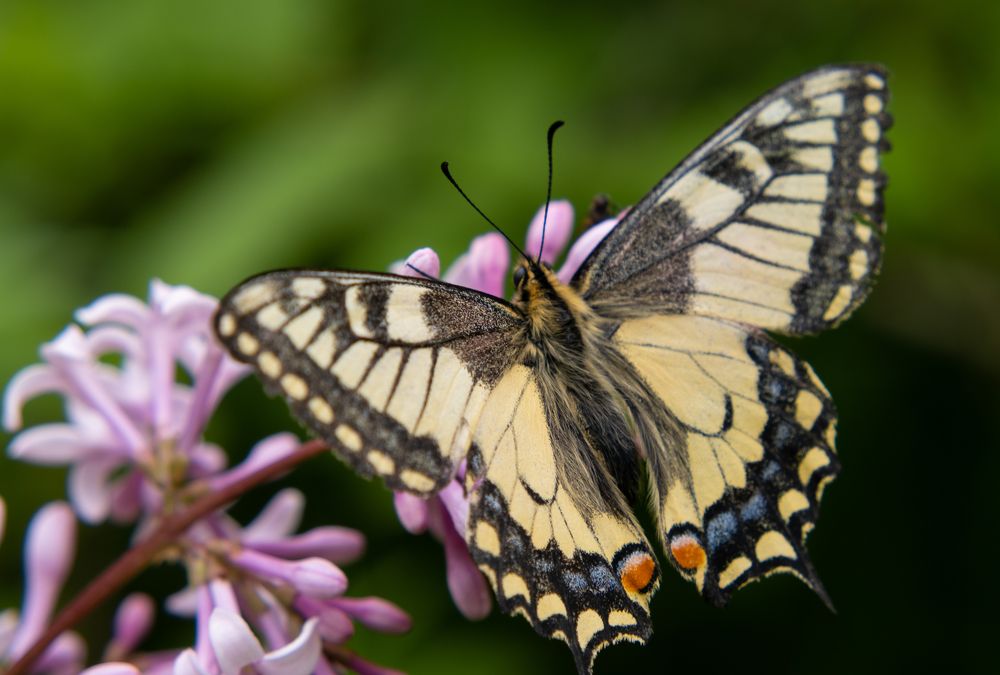 Photograph by Наталья Королева