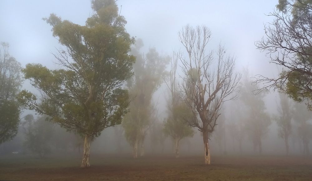 Photograph by GLEYDA GUTIÉREZ