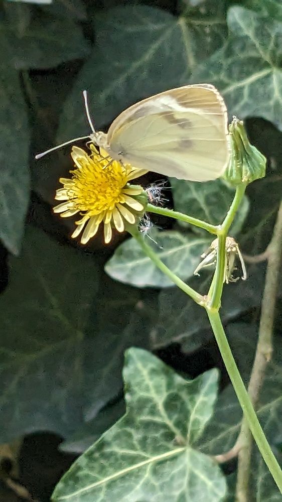 Photograph by Lilit Petrosyan