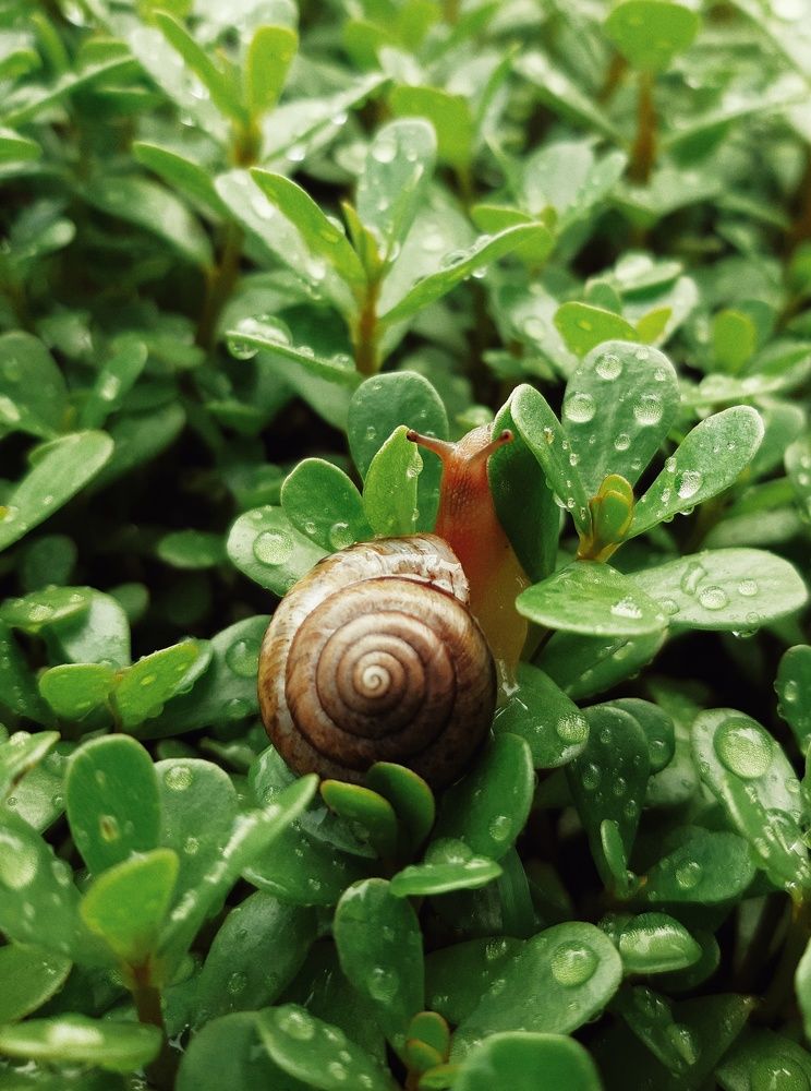 Photograph by Дамир Батряков