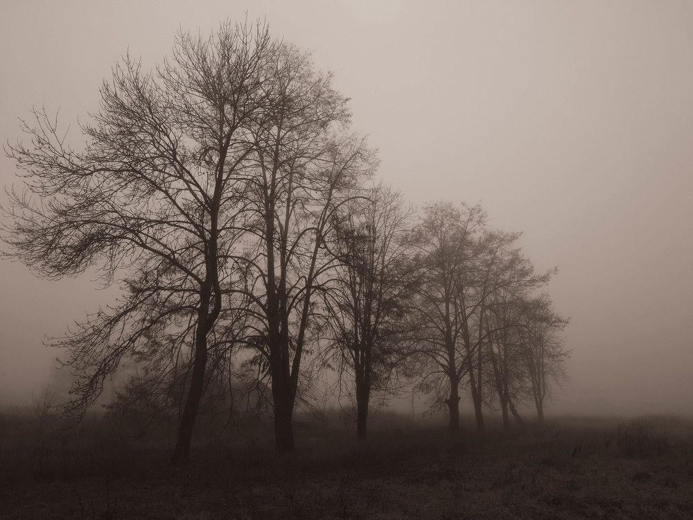 Photo #9334925