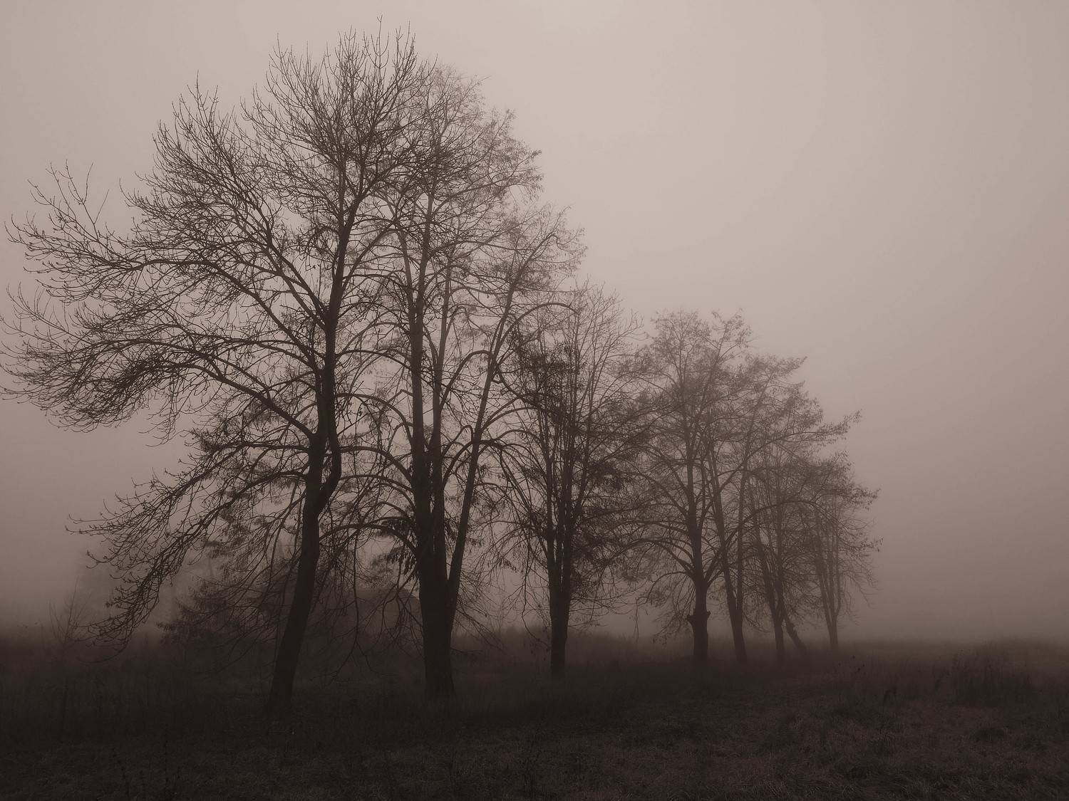 Photo #9334925