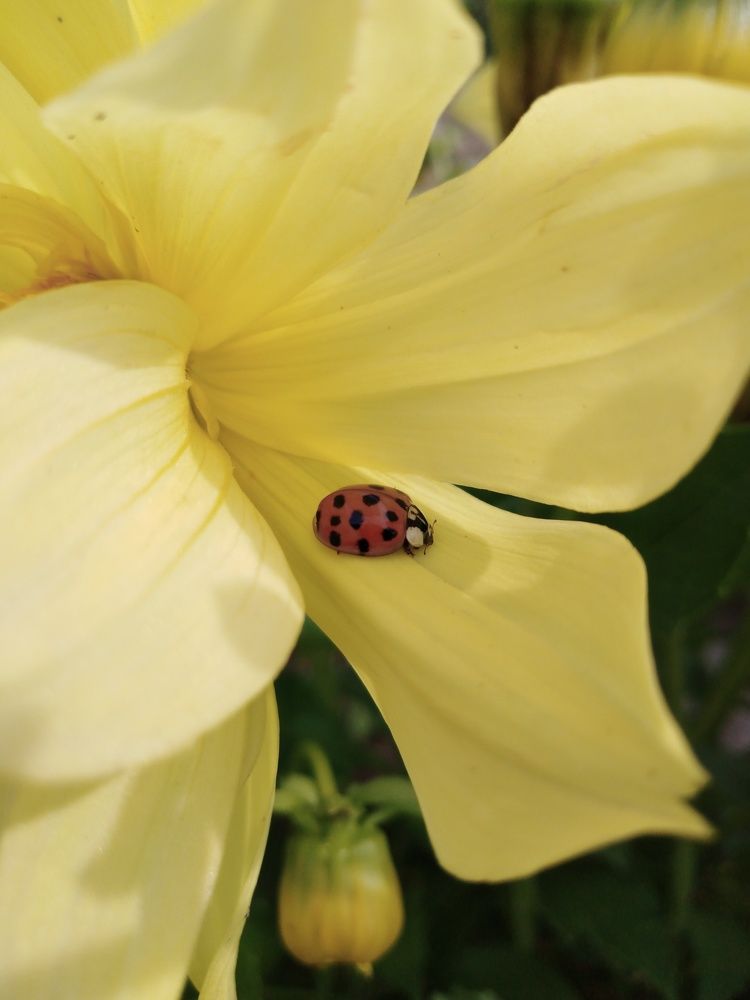 Photograph by Янина Милош