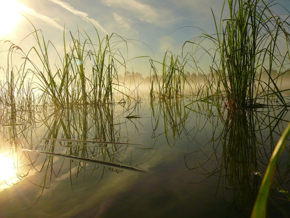 Фотография автора Анатолий Борисов