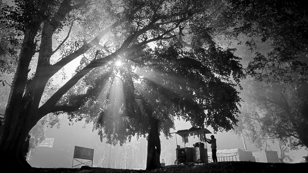 Photograph by Abhishek Rai