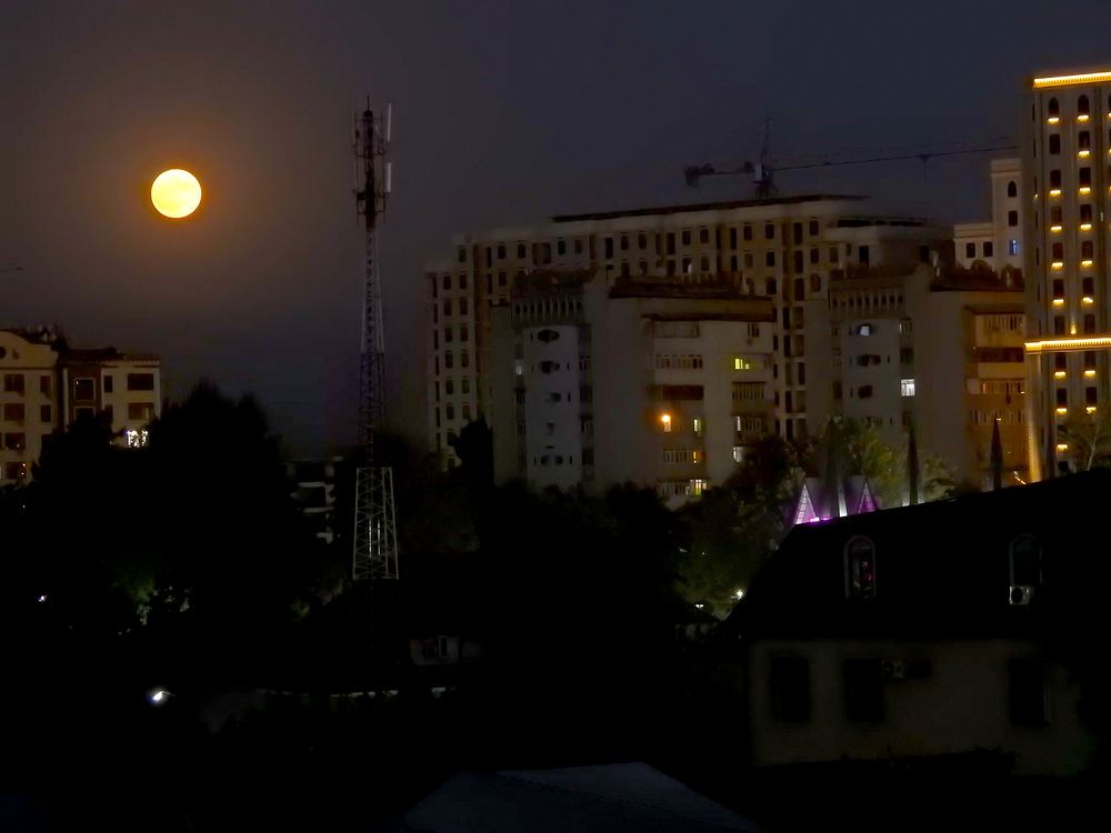 Photograph by Рустамбек Ахмадзода