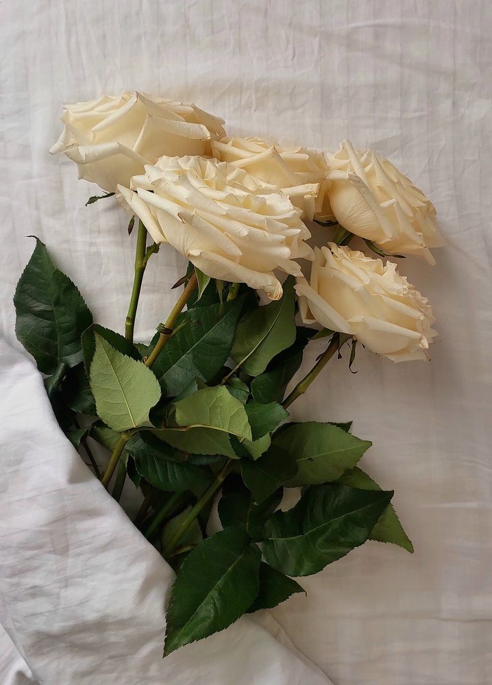 Photograph by Ольга Кирьянова