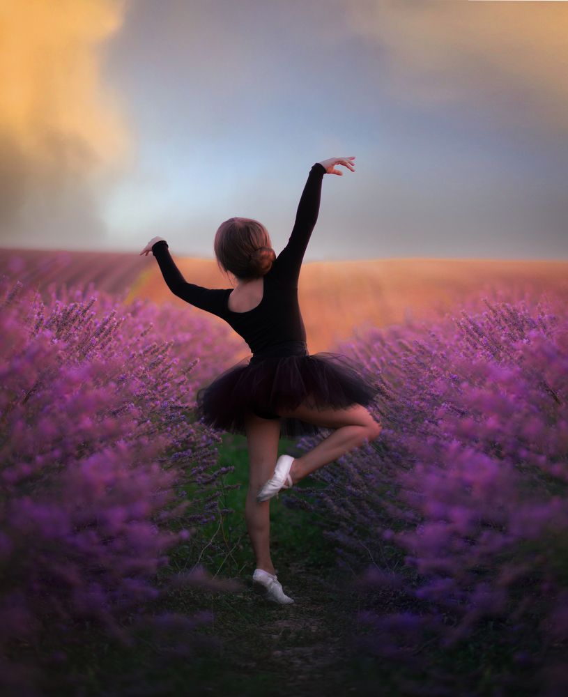 танец в лаванде