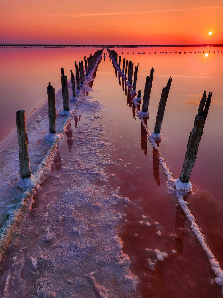 Photograph by Chic.chiquitita