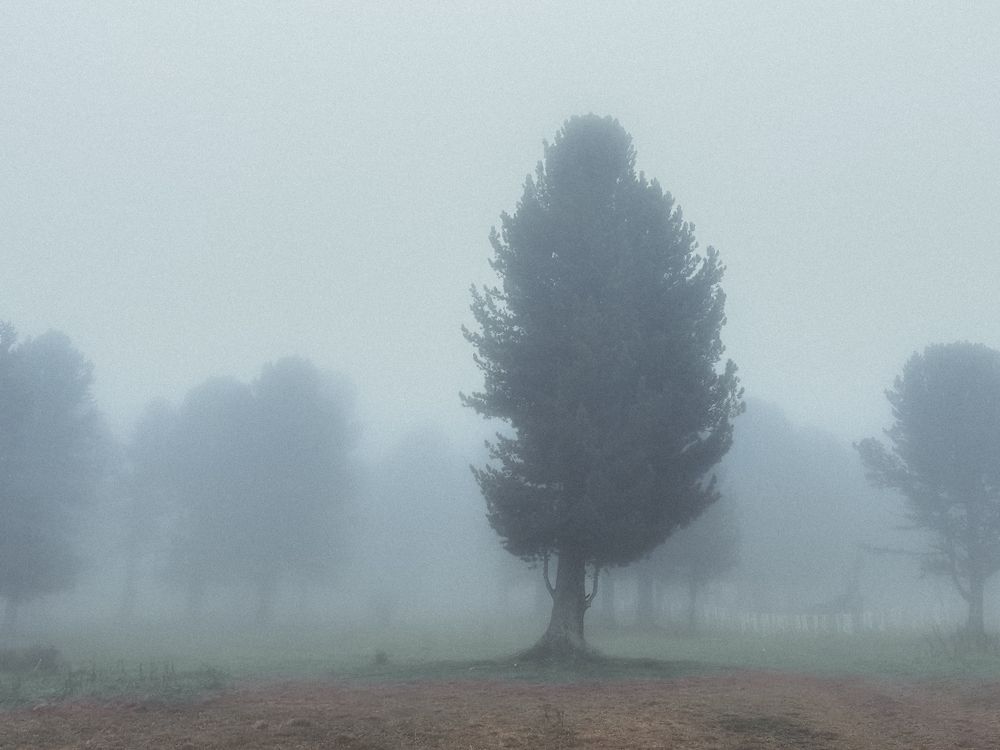 Photograph by Константин Пешков