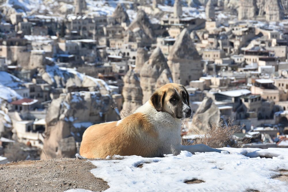 Photograph by Евгений Захаров