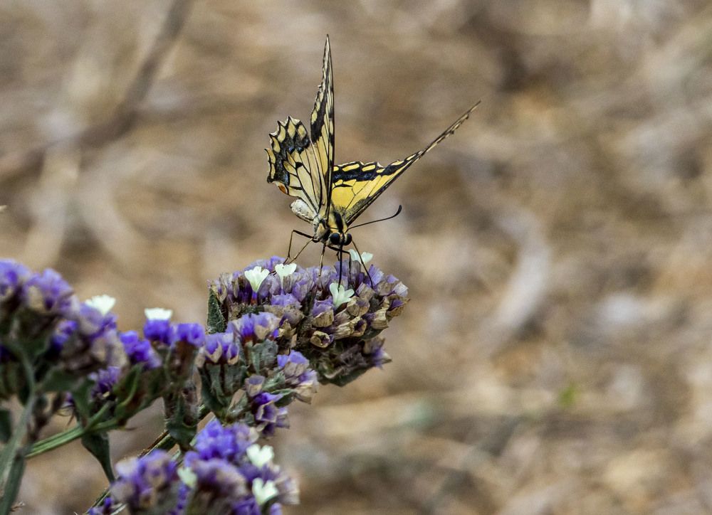 Photograph by Валентина Лопаткина